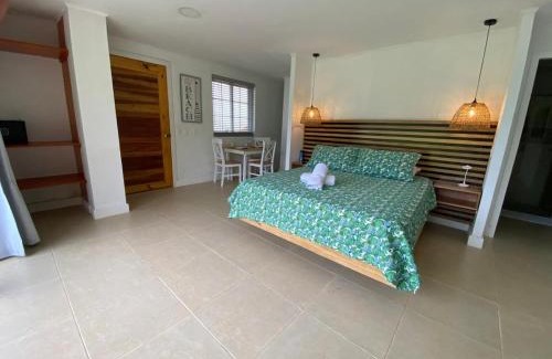 Punta Sur Apartment | Savannah Inn Studio 101