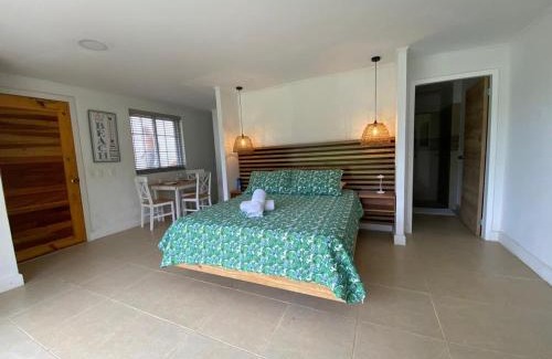 Punta Sur Apartment | Savannah Inn Studio 101