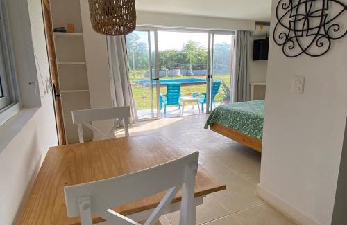 Punta Sur Apartment | Savannah Inn Suite 102