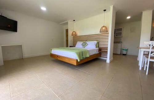 Punta Sur Apartment | Savannah Inn Suite 102