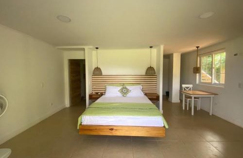 Punta Sur Apartment | Savannah Inn Suite 102