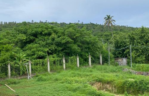 Punta Sur Apartment | Savannah Inn, Suite 201