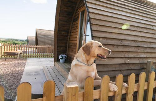 Tamworth House | Saxon Meadow by Wigwam Holidays