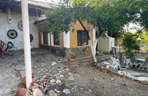 Alacali House | Saygın Çiftliği