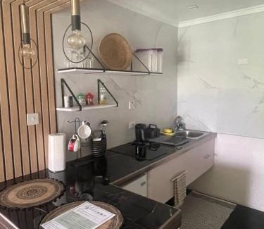 Haggatt Hall Apartment | Scarlett Studios 1 -US Embassy Appt 7 mins drive- Lloyd Erskine Sandiford Centre and Ross uni 5 mins drive - Only the 1 night package includes Airport and US Embassy roundtrip