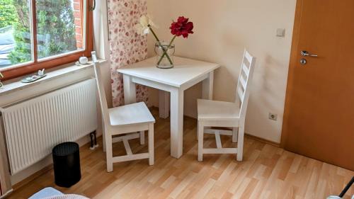 Broda Apartment | Schönes großes Haus in Neubrandenburg zentrum-, strandnah