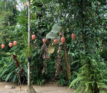 Sao Sebastiao Apartment | Schönes Haus direkt am Fluß in der Mata Atlantica