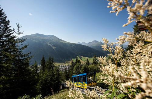 Davos-Platz Hotel | Schatzalp Hotel