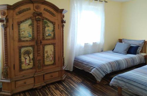 Mainz-Bingen Apartment | Schau-Rhein#1 - On top of Bacharach, Rhineview