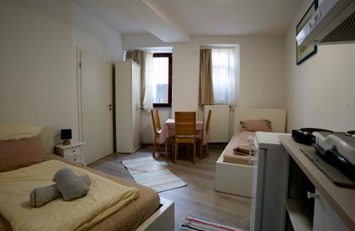 Biebrich Apartment | Schloßpärkchen an der Ecke