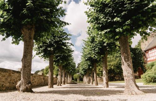 Gemuenden Villa | Schloss Gemünden mit Schwimmbad