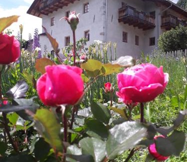 Feldthurns Apartment | Schrotthof