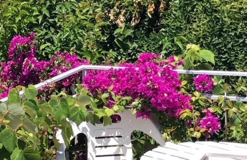 Gizzeria Lido House | Sea, garden, kite school and relaxation. You can choose everything from you. C4