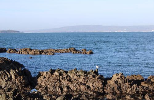 Bangor Apartment | SEACLIFF ROAD APARTMENT