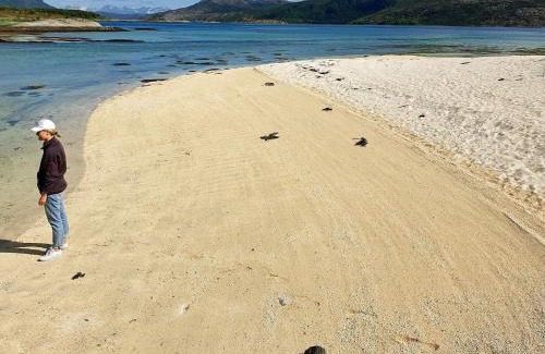 Hamaroy House | Seaside Charm in Hamaroy-By Traum