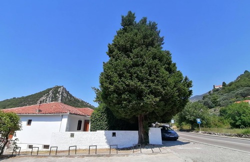 Kaluđerac House | Seaside vintage house. Airy, specific, with a large garden. Pet friendly.