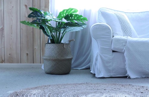 Mokau Bed & Breakfast | Seaview Cottage