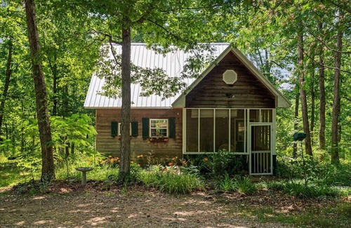 Mt. Sherman Cabin | Secluded Cabin in the Forest