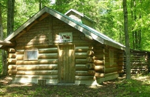 Dysart et al Cabin | Secluded Cabin on Your Own Private Lake Nestled Among 350 Wooded Acres