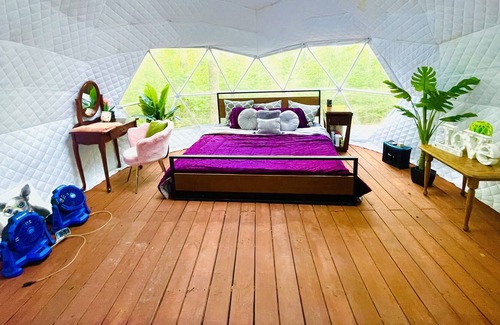 Dickel Other | Secluded Glamping Dome in the Forest