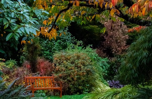 Federal Way House | Secret Garden Guest House w/access to PowellsWood