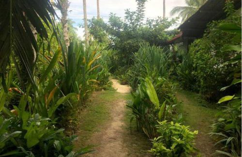 General Luna House | Secret Spot Siargao