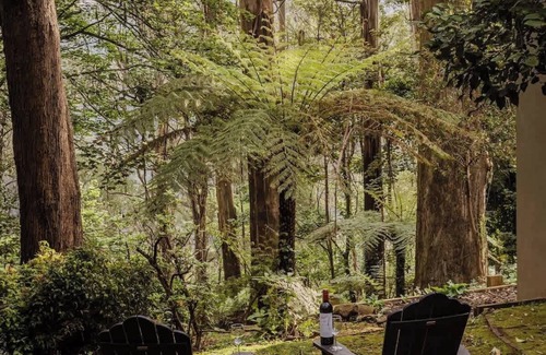 Sassafras Cabin | Seednest Treehouse | Forest & Mountain View
