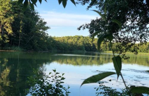 Petershagen Hotel | Seehotel Villago