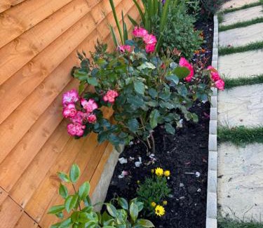 Tea Green Apartment | Sela House - Luton Airport