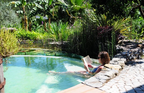 Ansiao Apartment | Self-catering apartment in rural location with gorgeous biological swimming pool