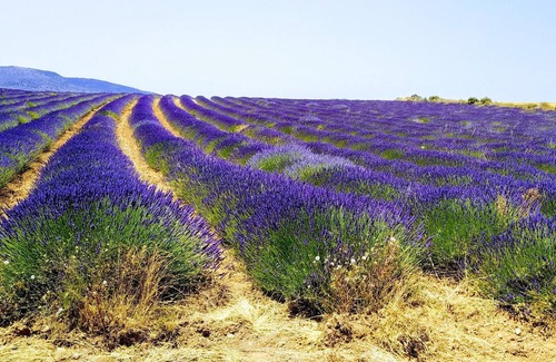 Moratalla Cottage | Self catering cottage La Risca I and II for 6 people