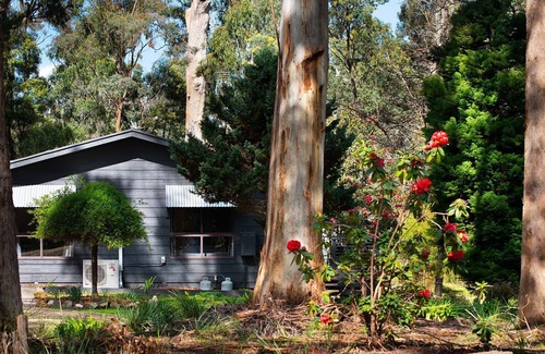 Wheatsheaf House | Selo Retreat- escape to this forest retreat, only 10 mins from Daylesford