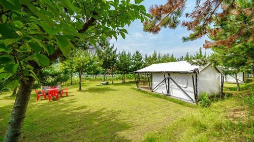 Sadan Other | seocheon paintree glamping