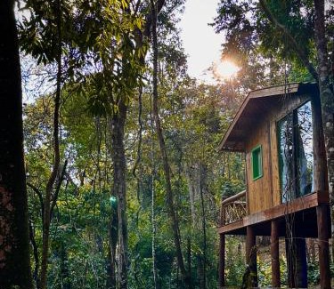 Bueno Brandao Cabin | Sequoia Casa na Árvore, Vila Mágica