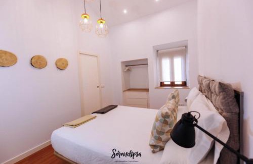 Caceres Old Town Apartment | Serendipia