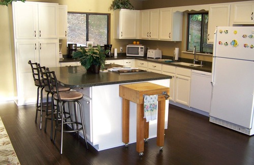Big Creek House | Serendipity at Cove Pointe - 400 feet of private Lake frontage on Big Creek