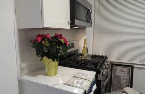 South Oakland Apartment | Serene Retreat in the Heart of Pittsburgh Oakland