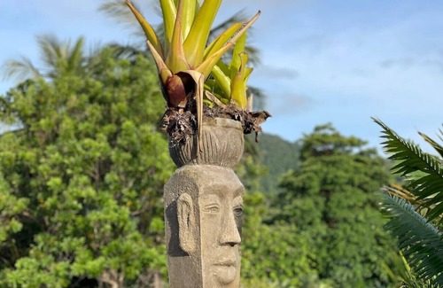 Mission Beach House | Serenity Rooms for couples & individuals | Luxury Rainforest Meets Reef | Sleeps up to 2