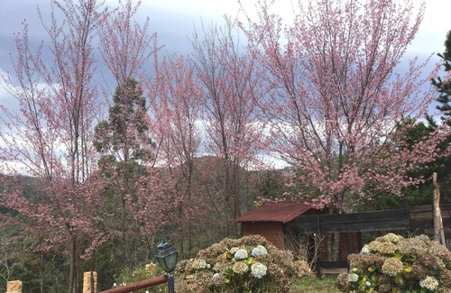 Delfim Moreira Ski Chalet | Serra da Mantiqueira….a privileged place! 1600mtrs altitude.