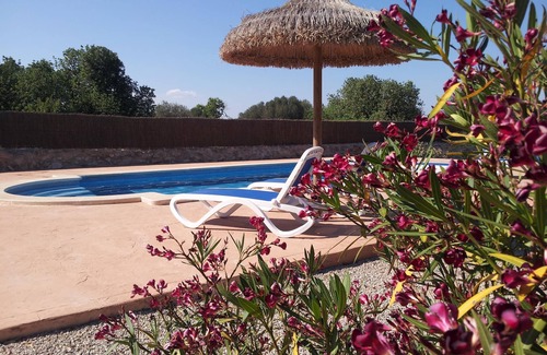 Ses Salines Cottage | Ses Salines: APARTMENT RURAL MALLORCAN FINCA WITH POOL AND 5 MINUTES FROM THE BEACH TRENC. SES SALINES.