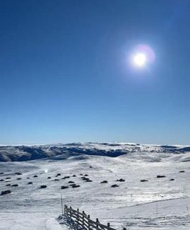Geilo House | Seterhytte i Havsdalen