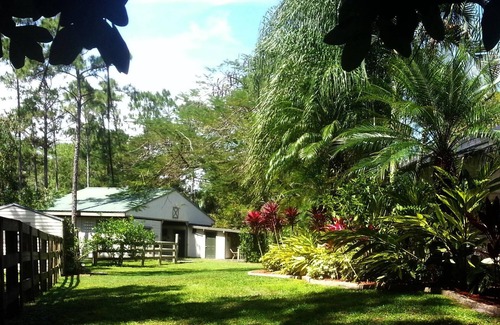 Jupiter Farms House | SHADEY ACRES - HEATED POOL/SPA FAST WIFI PET FRIENDLY ECO-RETREAT NEAR BEACHES