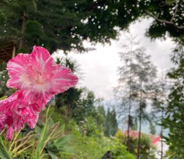 Kalimpong House | Shangdhan Pine Homestay