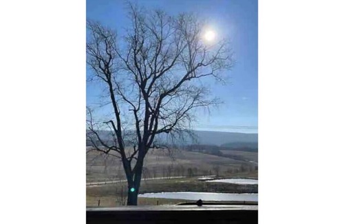 Boynton House | Shire Chalet