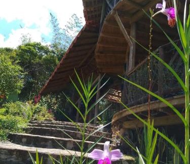 San Carlos Cabin | Shiva's Temple