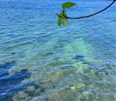 San Juan Resort | Shootingstars