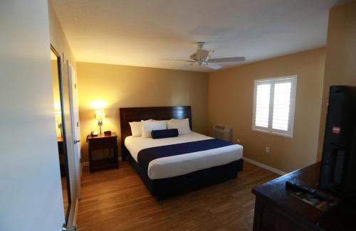 Madeira Beach Resort | Shoreline Island Resort - Exclusively Adult