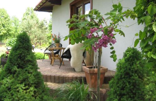 Narewka House | Siedlisko Gruszki Puszcza Białowieska