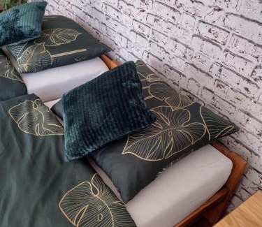 Ostrow Wielki Apartment | Siedlisko Jelonki