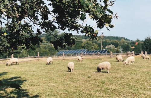 Mirsk House | Siedlisko Zagajnik
